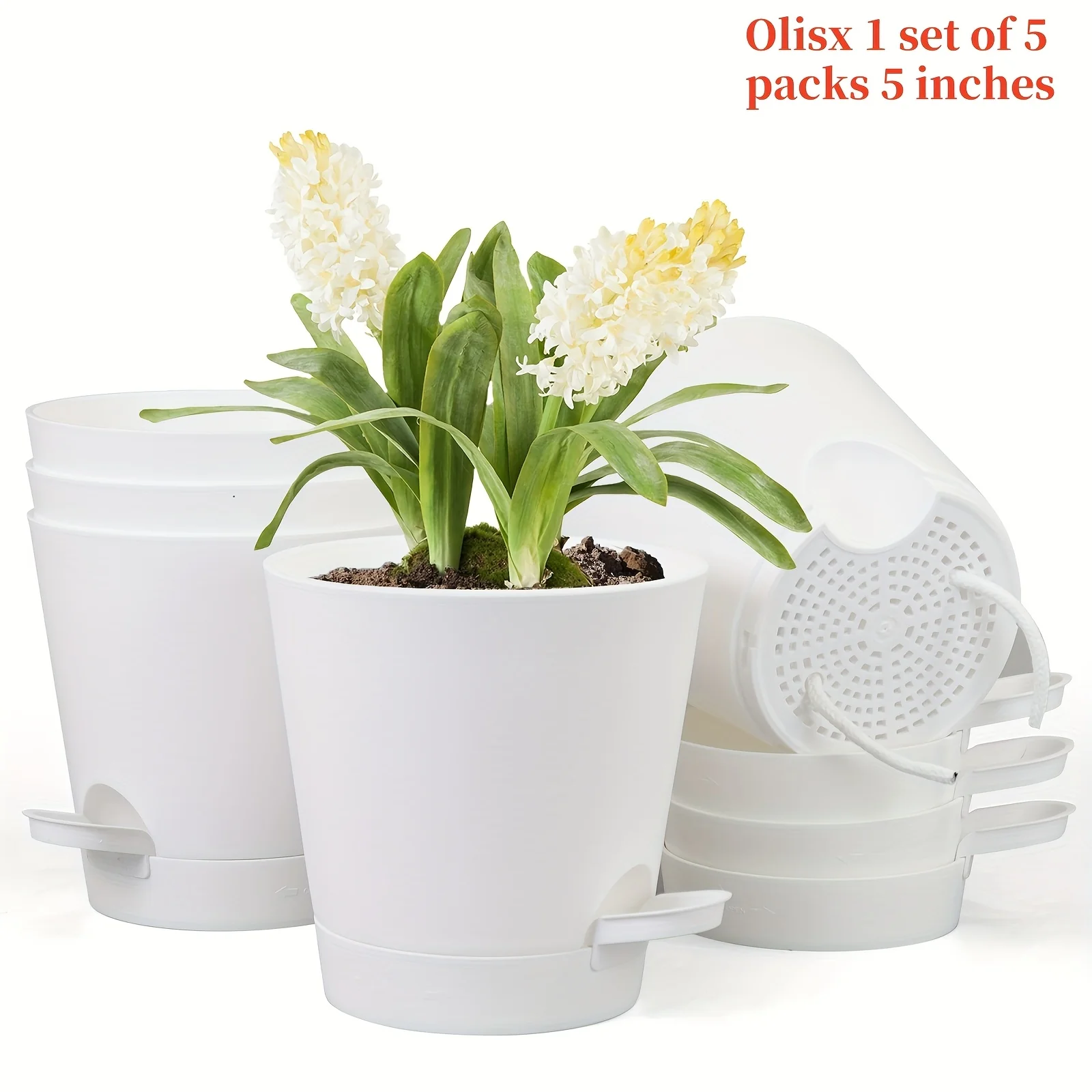 Automatic | Watering Olisx-H1405-5 Set of 5 Automatic Watering Flower Pots | Modern African Violet Pots with Drainage Holes And Trays | Suitable for Home Gardens, 5 Inches (Approximately 12.7 Cm)